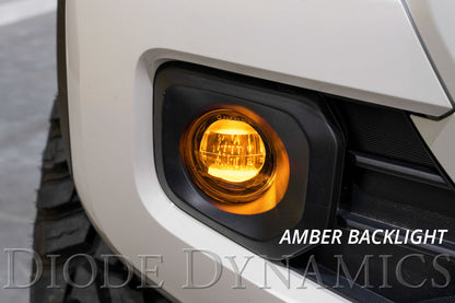 2021_toyota_tacoma_elite_foglamp_passenger_backlight_lbl_1.jpg