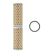 AEM Universal High Volume Fuel Filter Element