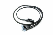TurboXS 15-21 Subaru WRX STI Hella Horn Wiring Harness - WS15-HHWH - Primary