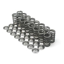 Brian Crower Subaru EJ205-WRX/EJ257-STi Single Spring & Titanium Retainer Kit - BC0600