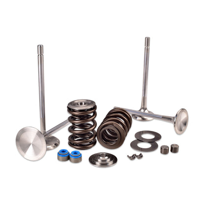 IAG 600 Street Cylinder Heads Package for 2015-21 WRX - Kelford Valve Springs & GSC Valves