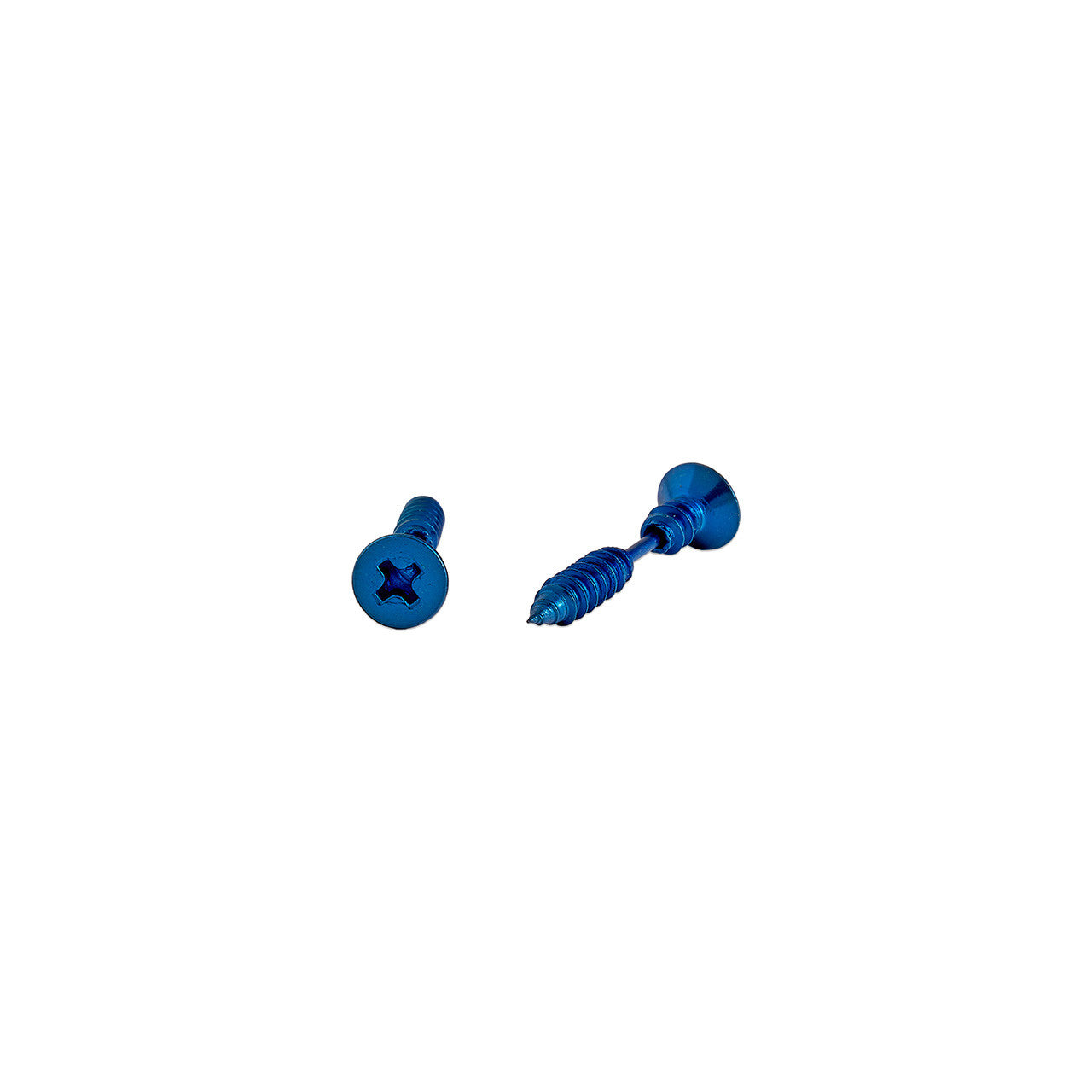 Garage Girls Jewelry Screw Earrings - Blue 2