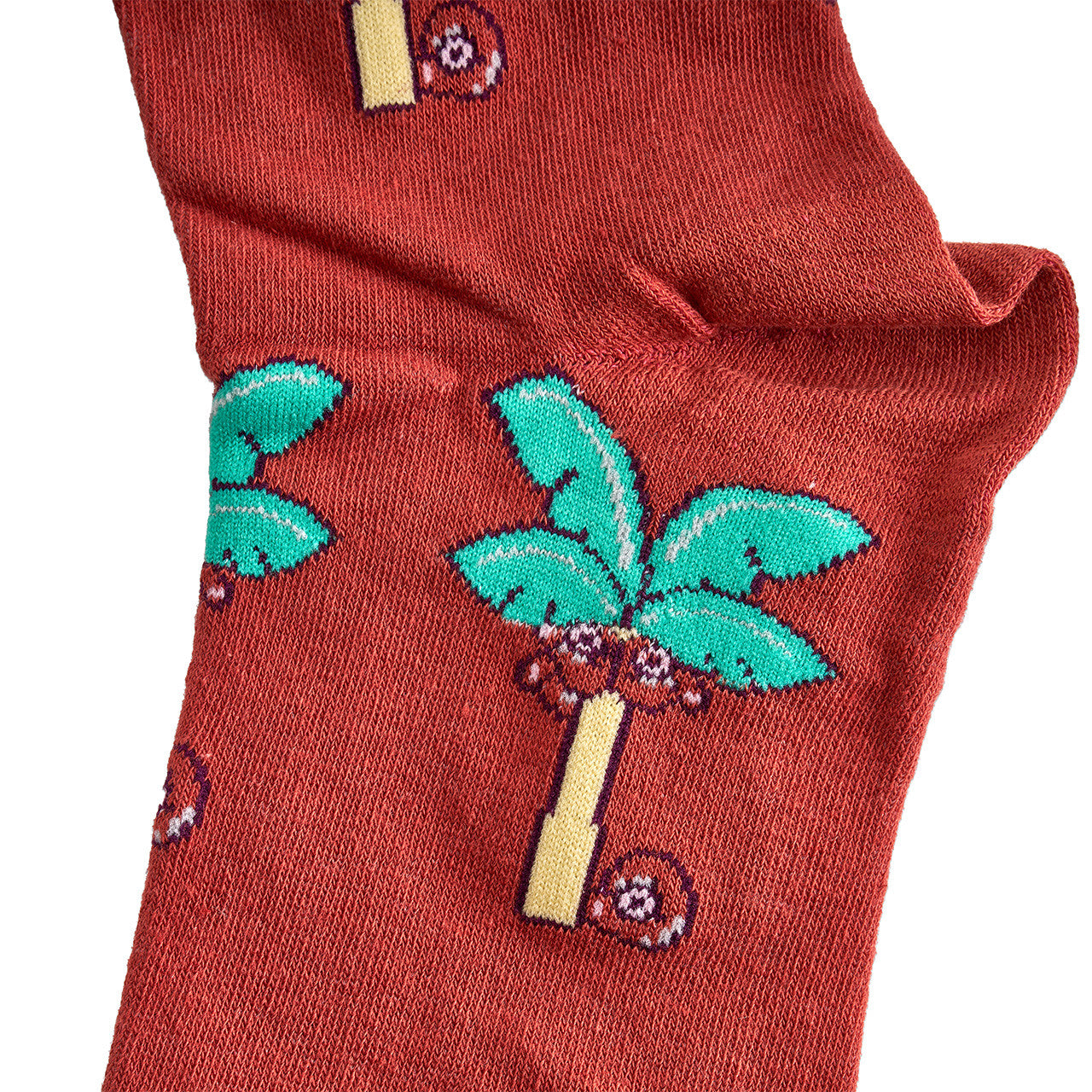 Boosta-Colada Socks - Close Up