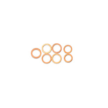 IAG Turbo Oil Feed & AVCS Line Replacement Crush Washers (For IAG-ENG-2070 / IAG-ENG-2072)