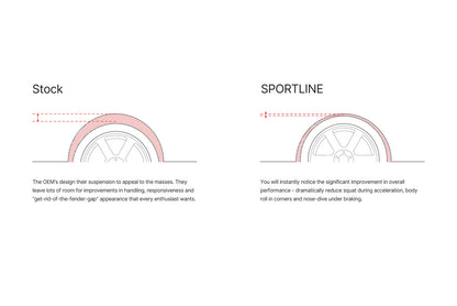 sportline-illustration.jpg