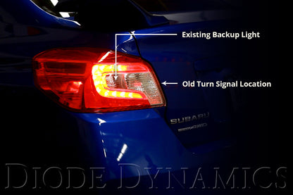 sti_tat_labeled.jpg